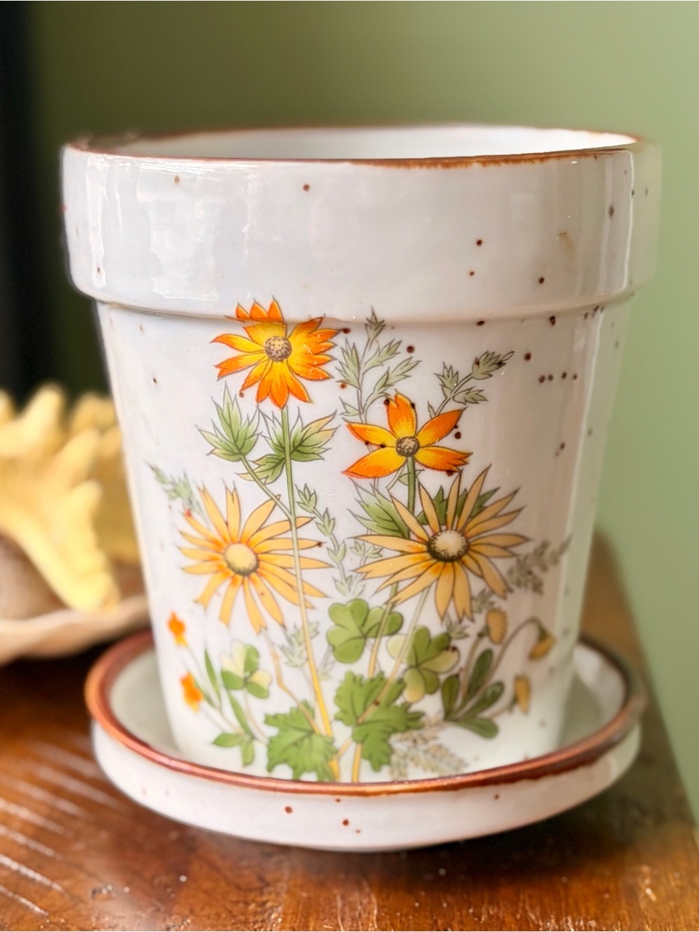 Vintage Floral Ceramic Planter with Saucer & Drain Garden Bloom